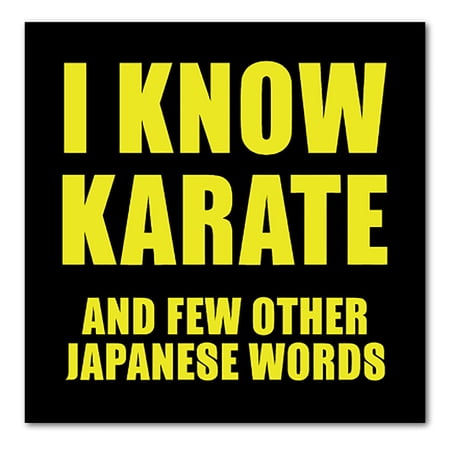 DistinctInk Custom Bumper Sticker - 8" x 8" Decorative Decal - Black Background - I Know Karate And Few Other Japanese Words