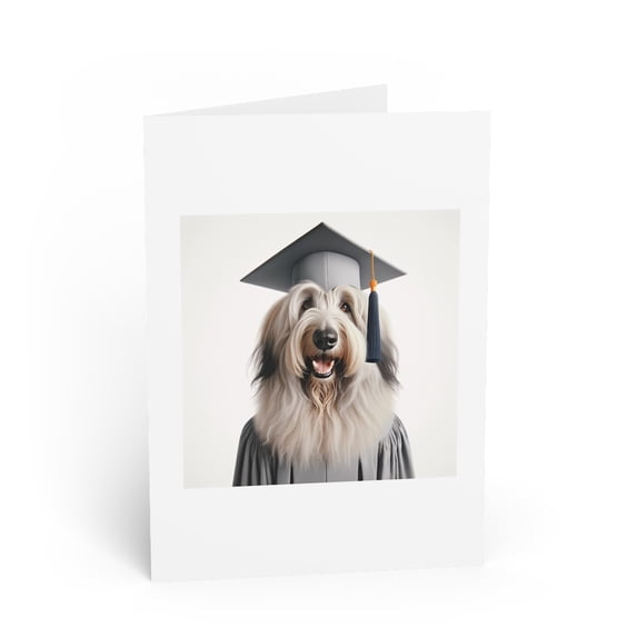 DistinctInk Greeting Card / Note Card - Bergamasco Sheepdog Graduation - PACK of 3