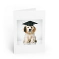 thumbnail image 1 of DistinctInk Greeting Card / Note Card - Clumber Spaniel Puppy Graduation - PACK of 5, 1 of 7