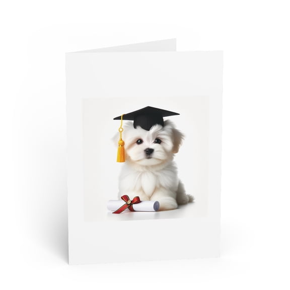 DistinctInk Greeting Card / Note Card - Coton De Tulear Puppy Graduation - PACK of 10