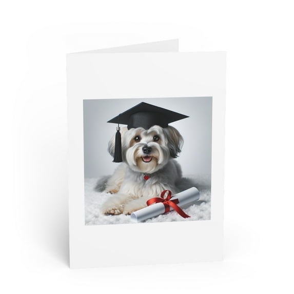 DistinctInk Greeting Card / Note Card - Dandie Dinmont Terrier Graduation - PACK of 25