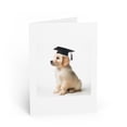 thumbnail image 1 of DistinctInk Greeting Card / Note Card - Golden Retriever Puppy Graduation - PACK of 25, 1 of 7