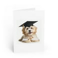thumbnail image 1 of DistinctInk Greeting Card / Note Card - Havanese Puppy Graduation - PACK of 10, 1 of 7