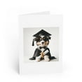 thumbnail image 1 of DistinctInk Greeting Card / Note Card - Miniature American Shepherd Graduation - PACK of 50, 1 of 7