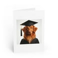 thumbnail image 1 of DistinctInk Greeting Card / Note Card - Nova Scotia Duck Tolling Retriever Graduation - PACK of 25, 1 of 7