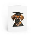 thumbnail image 1 of DistinctInk Greeting Card / Note Card - Rhodesian Ridgeback Puppy Graduation - PACK of 10, 1 of 7