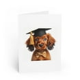 thumbnail image 1 of DistinctInk Greeting Card / Note Card - Sussex Spaniel Puppy Graduation - PACK of 5, 1 of 7
