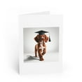 thumbnail image 1 of DistinctInk Greeting Card / Note Card - Welsh Springer Spaniel Puppy Graduation - PACK of 3, 1 of 7