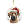 thumbnail image 1 of DistinctInk Hanging Ceramic Christmas Tree Ornament with Gold String - Great Gift/Present - 2 3/4 inch Diameter - Rhodesian Ridgeback Puppy Drawing Design, 1 of 1