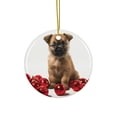 thumbnail image 1 of DistinctInk Hanging Ceramic Christmas Tree Ornament with Gold String - Great Gift/Present - 2 3/4 inch Diameter - Cairn Terrier Puppy Design, 1 of 3