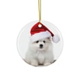 thumbnail image 1 of DistinctInk Hanging Ceramic Christmas Tree Ornament with Gold String - Great Gift/Present - 2 3/4 inch Diameter - Pumik Puppy Design, 1 of 4