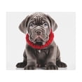 thumbnail image 1 of DistinctInk Mouse Pad - 1/4" Foam Rubber - Neapolitan Mastiff Puppy, 1 of 4
