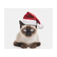 thumbnail image 1 of DistinctInk Mouse Pad - 1/4" Foam Rubber - Siamese Cat, 1 of 4