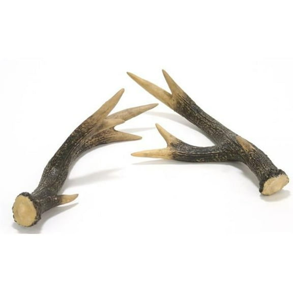 Distinctive Designs  Whitetail Deer Horn - Brown & White - Pack of 2