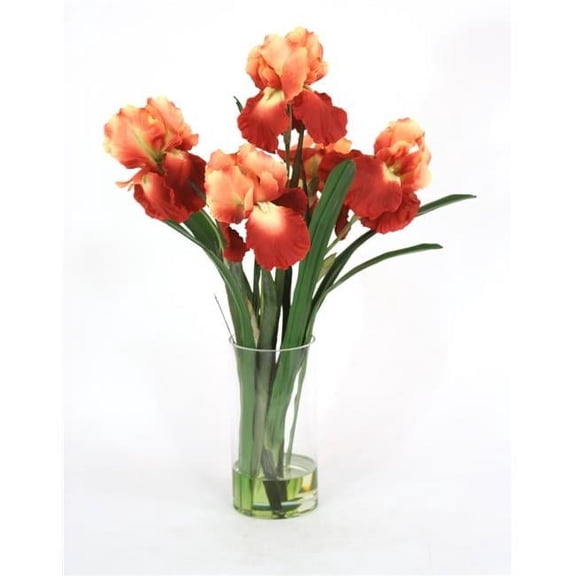 Distinctive Designs 16106B Waterlook R Rust Gold Iris with Blades in Glass Cylinder, Orange