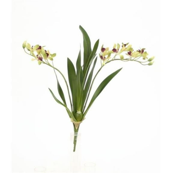 Distinctive Designs 18 in. Vanda Orchid with Plant - Green - Pack of 8