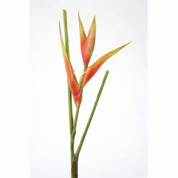 Distinctive Designs  24 in. Heliconia Pick Spray - Dark Rose - Pack of 6