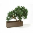 thumbnail image 1 of Distinctive Designs 2956 Pine Bonsai in Brown Rectangular Planter, 1 of 1