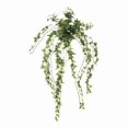 thumbnail image 1 of Distinctive Designs DG-686 DIY Foliage 30 in. L Artificial Dark Green Mini Pittsburgh Ivy Bush x 18 36 per Case - Pack of 6, 1 of 1