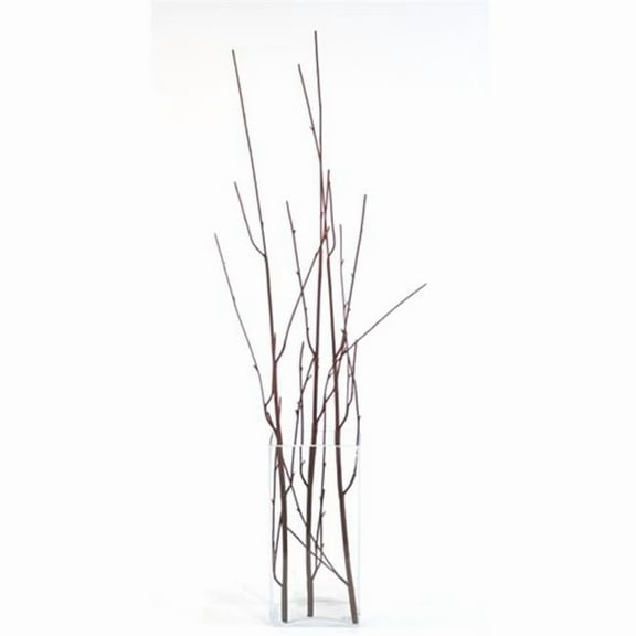 Distinctive Designs DG-789 DIY Foliage 48 in. L Artificial Brown Curly Willow Branch 72 per case - Pack of 12