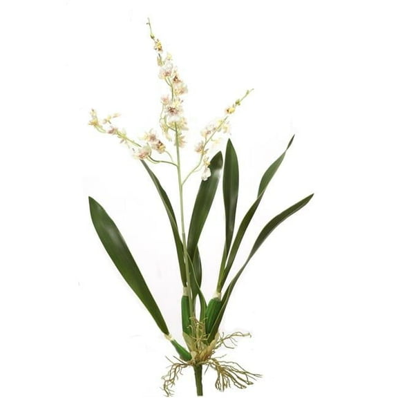Distinctive Designs DI-629-WHBW 27' Dancing Orchid Plant