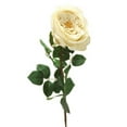 thumbnail image 1 of Distinctive Designs DI-725-CRGR 27' English Garden Rose x 1 - Cream Green, 1 of 1