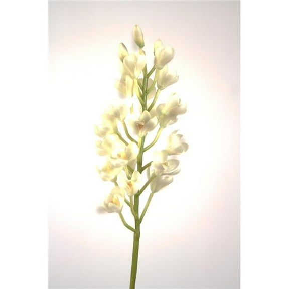 Distinctive Designs DI-779Z-CRWH 20' Mini Cybidium Stem x 1