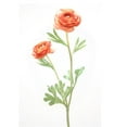 thumbnail image 1 of Distinctive Designs DI-790-CO 18.5' Ranunculus Stem x 2 - Coral, 1 of 1