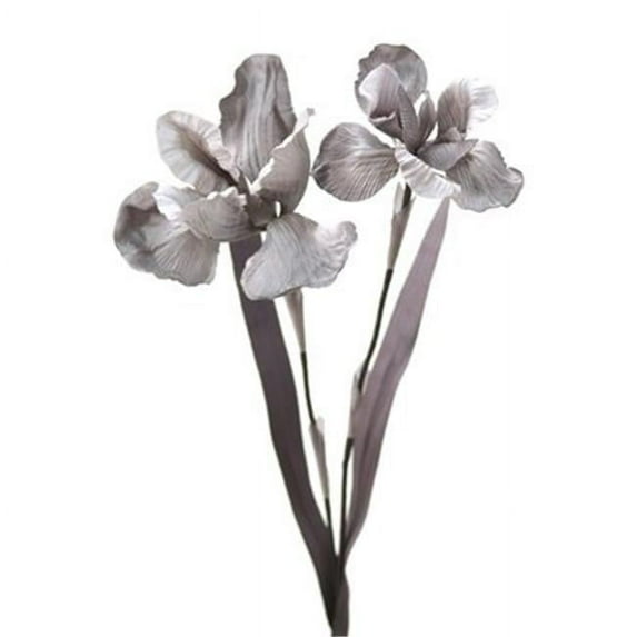 Distinctive Designs DIY Flower Gray Dark Gray Double Iris - Pack of 4