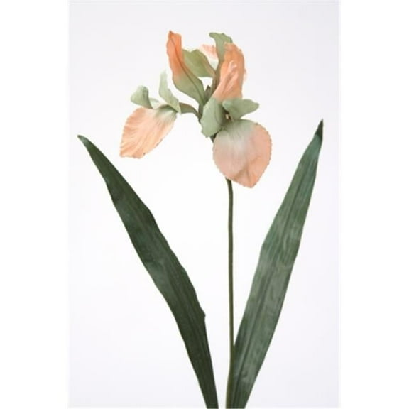 Distinctive Designs  DIY Flower Sonia Celedon Large Iris - Pack of 6