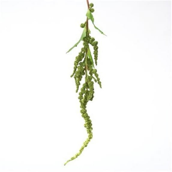 Distinctive Designs DIY Foliage 34 in. L Artificial Dark Green Hanging Amaranthus Spray 96 per case - Pack of 12