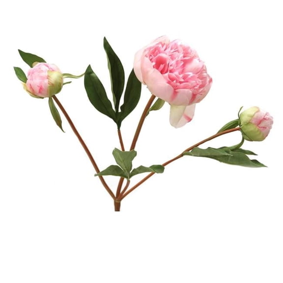 Distinctive Designs DJ-309-PKFU 17' Pink Fuschia Peony Stem