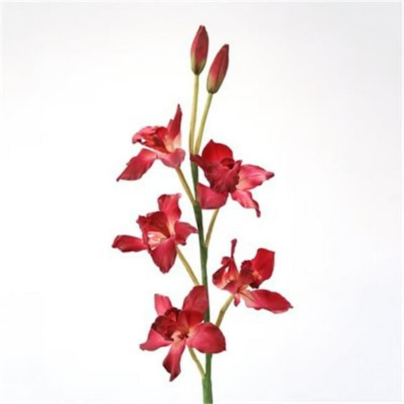 Distinctive Designs DS-8849-OC DIY Flower Orchid Cymbidium Orchid x 4 - Pack of 12