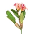 thumbnail image 1 of Distinctive Designs DS-9941-SO DIY Flower Sonia Cattleya Head - Pack of 12, 1 of 1