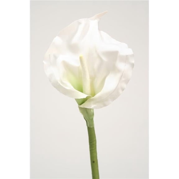 Distinctive Designs DW-1131-CR Calla Lily Open - Cream