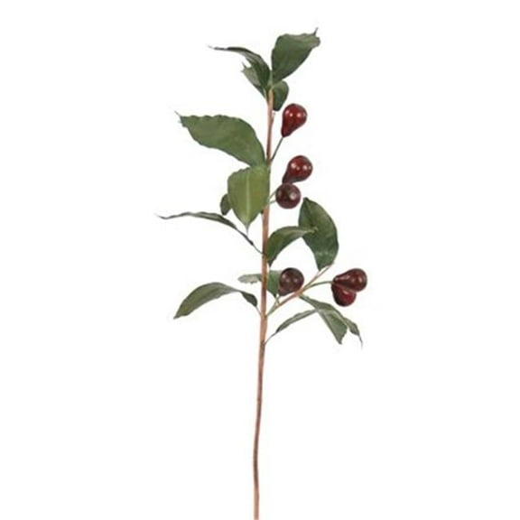 Distinctive Designs DW-1534-RDBG DIY Foliage Red Burgundy Olive Branch - Pack of 6