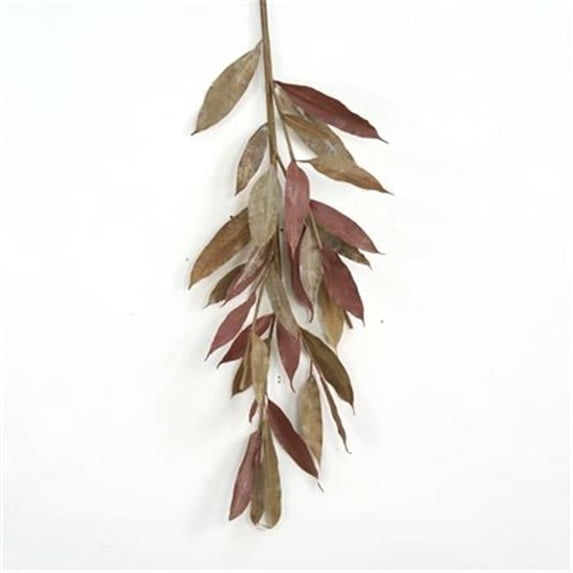 Distinctive Designs DW-1618A Small Natural Brown Myrtle Branch - Pack of 6