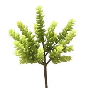 Distinctive Designs DW-434 8 Succulent Green