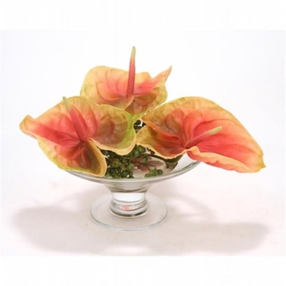 Distinctive Designs International 15851 Coral-Green Antheriums in Glass Compote