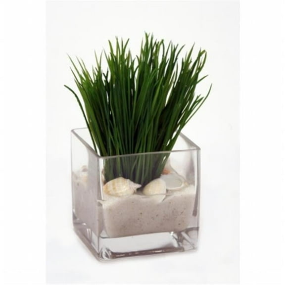 Distinctive Designs International 16940 Grass In Glass Cube With Sand And Shells- Pack 2