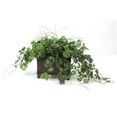 thumbnail image 1 of Distinctive Designs International  2326 Silk Grass And Grape Ivy In Dark Stained Rectangle Floor Planter, 1 of 1