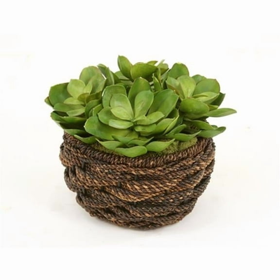 Distinctive Designs International  2765 Artificial Hen And Chic Succulents In Round Abaca Rope Basket
