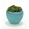 thumbnail image 1 of Distinctive Designs International  2849 Hen & Chicken In Large Turquoise Pot- Pack 2, 1 of 1
