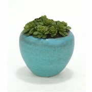 Distinctive Designs International 2849 Hen & Chicken In Large Turquoise Pot- Pack 2