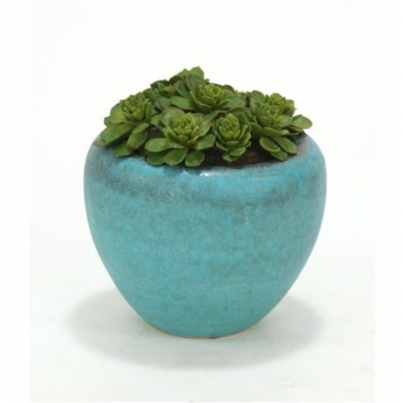 Distinctive Designs International 2849 Hen & Chicken In Large Turquoise Pot- Pack 2
