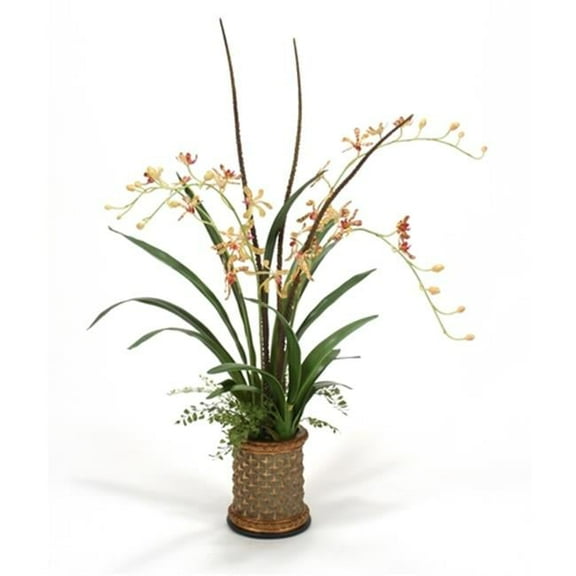 Distinctive Designs International 6052 Gold Vanda Orchids with Mixed Foliage in Cylinder Planter