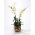 thumbnail image 1 of Distinctive Designs International 9858 White Orchids & Greenery Mix in Burnt Gold Gabi Planter, 1 of 1
