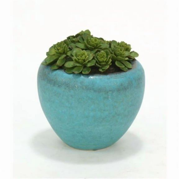 Distinctive Designs International  Hen & Chicken In Large Turquoise Pot- Pack 2