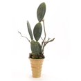 thumbnail image 1 of Distinctive Designs International   Mixed Faux Succulents With Dragon Wood In Flared Round Planter, 1 of 1