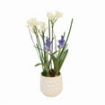 thumbnail image 1 of Distinctive Designs 30055 Luxury Artificial Decor Hyacinths & Nerine Lily White Planter, 1 of 1